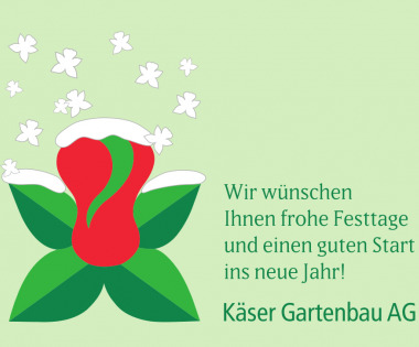 Frohe Festtage!